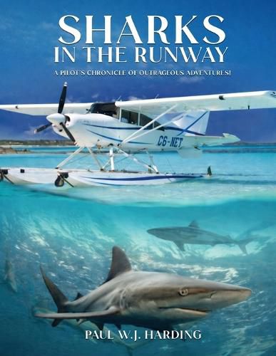 Cover image for Sharks in the Runway
