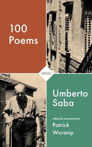 Cover image for 100 Poems