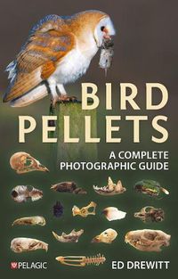 Cover image for Bird Pellets
