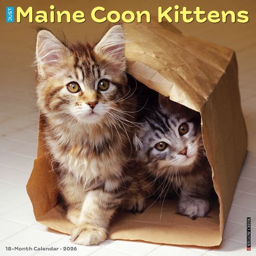 Cover image for Maine Coon Kittens 2026 Wall Calendar