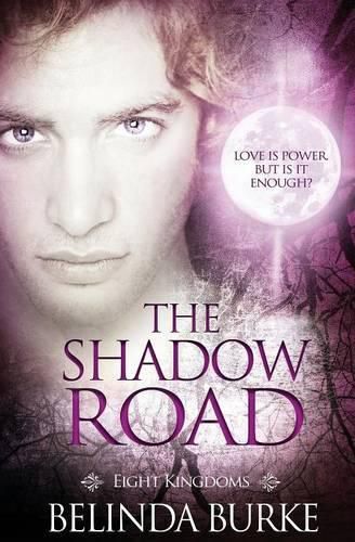 Cover image for Eight Kingdoms: The Shadow Road