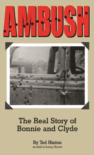 Cover image for Ambush