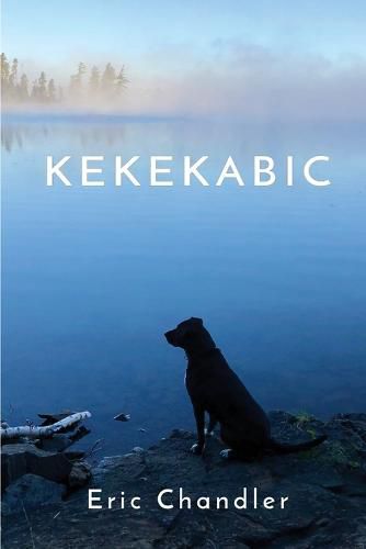 Cover image for Kekekabic