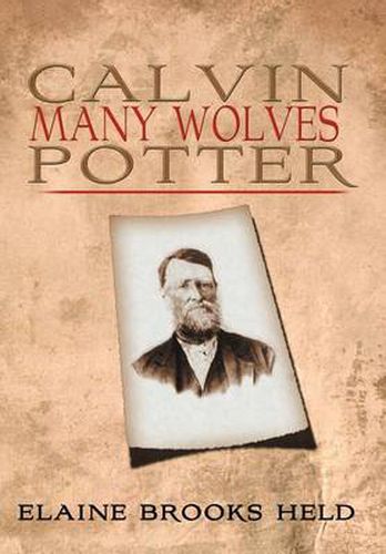 Cover image for Calvin Many Wolves Potter