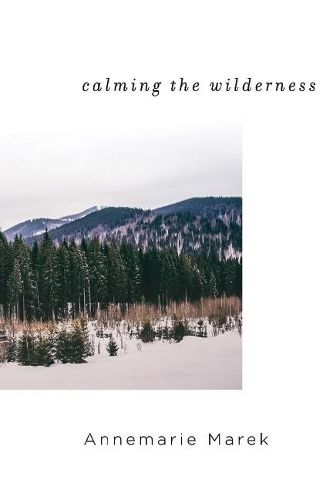 Cover image for Calming the Wilderness