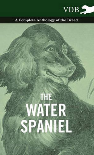 Cover image for The Water Spaniel - A Complete Anthology of the Breed