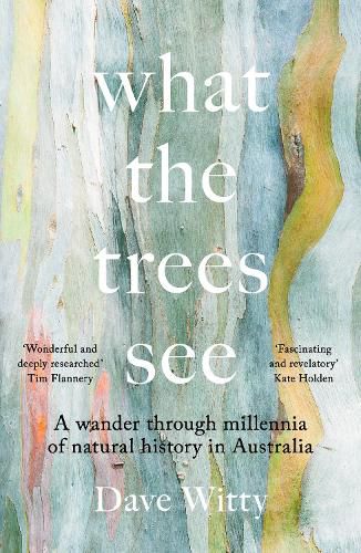 Cover image for What the Trees See