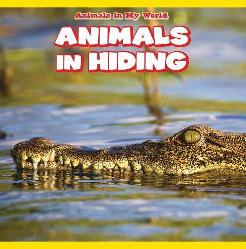 Cover image for Animals in Hiding