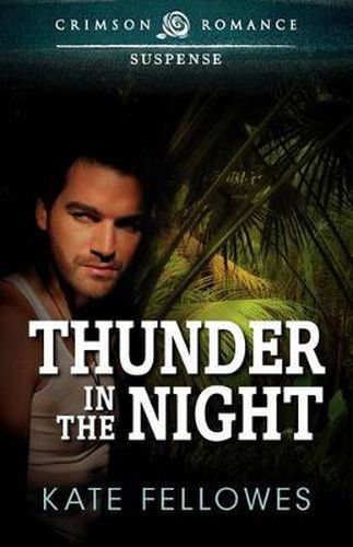 Cover image for Thunder in the Night