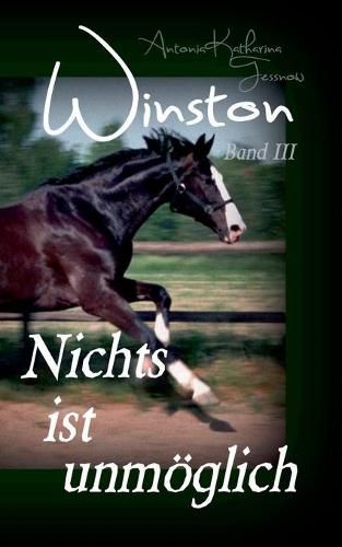 Cover image for Winston - Nichts ist unmoeglich: Pferdebuchserie in drei Banden