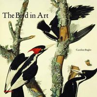 Cover image for Bird in Art