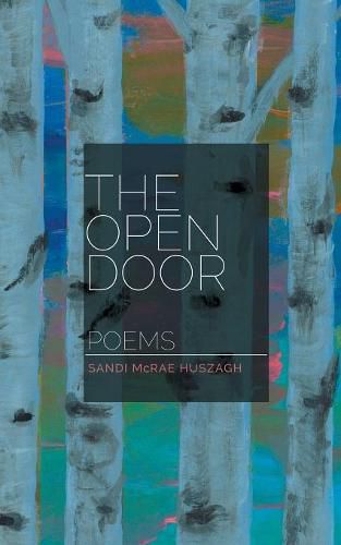 Cover image for The Open Door