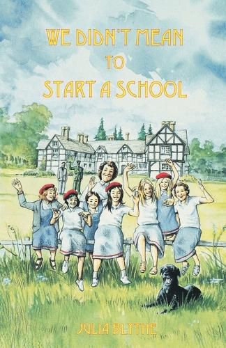 Cover image for We Didn't Mean to Start a School