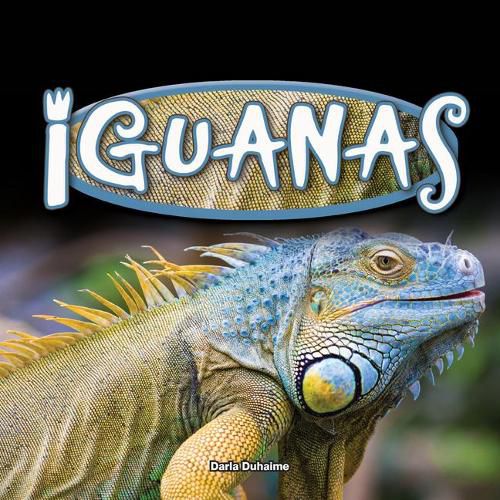 Cover image for Iguanas