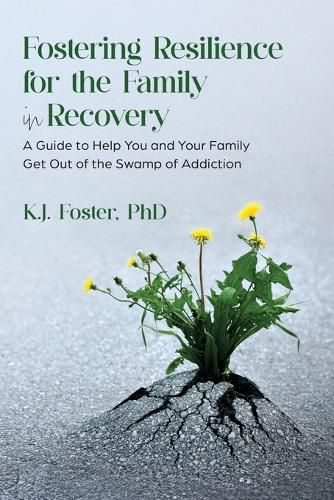 Cover image for Fostering Resilience for the Family in Recovery