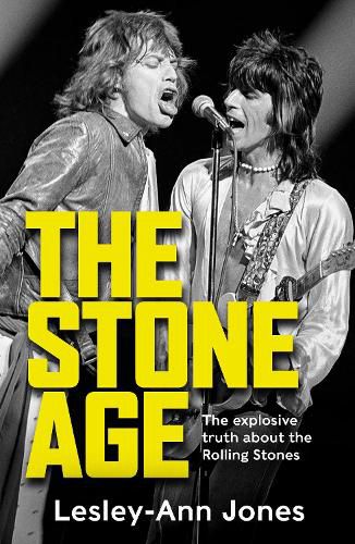 Cover image for The Stone Age