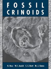 Cover image for Fossil Crinoids