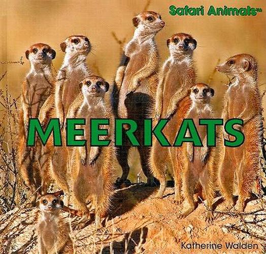 Cover image for Meerkats