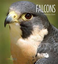 Cover image for Falcons