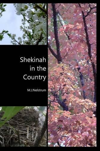 Cover image for Shekinah in the Country