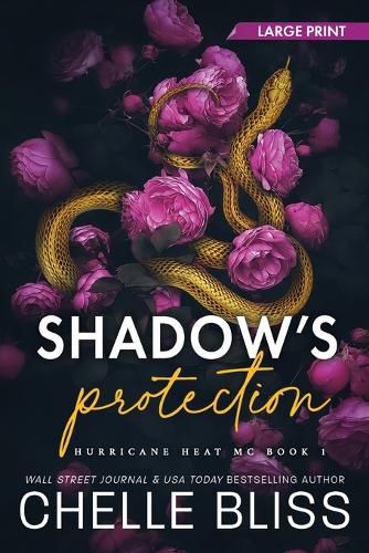 Cover image for Shadow's Protection