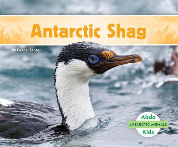 Cover image for Antarctic Shag