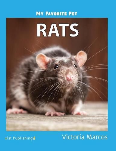 Cover image for My Favorite Pet: Rats