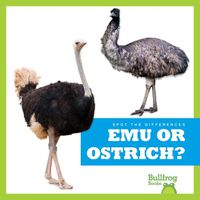 Cover image for Emu or Ostrich?