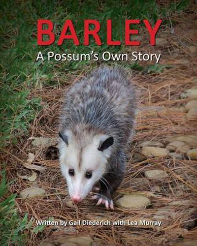 Cover image for Barley, a Possum's Own Story