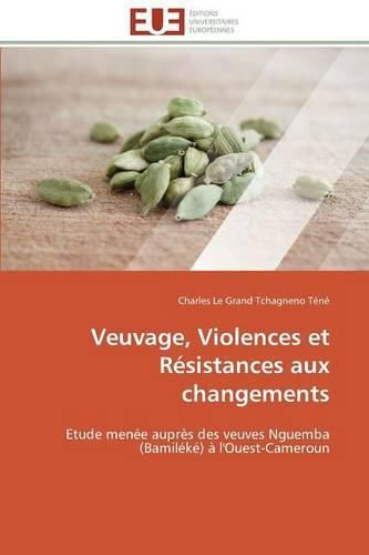 Cover image for Veuvage, violences et resistances aux changements