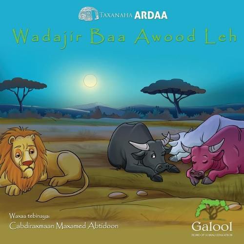 Cover image for Wadajir Baa Awood Leh