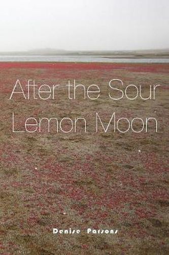 Cover image for After the Sour Lemon Moon