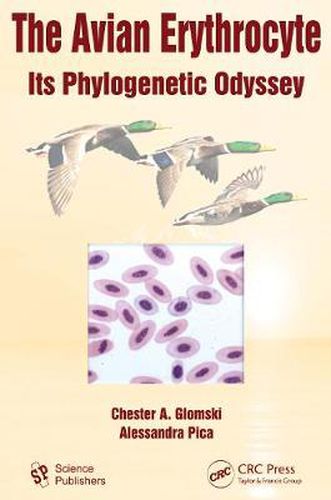 Cover image for The Avian Erythrocyte: Its Phylogenetic Odyssey