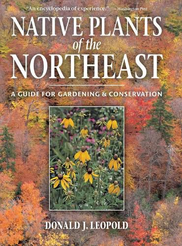 Cover image for Native Plants of the Northeast