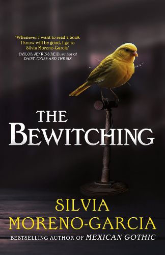 Cover image for The Bewitching