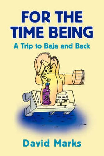 Cover image for For the Time Being