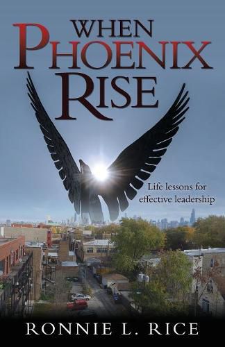 Cover image for When Phoenix Rise