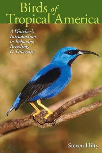 Cover image for Birds of Tropical America: A Watcher's Introduction to Behavior, Breeding, and Diversity