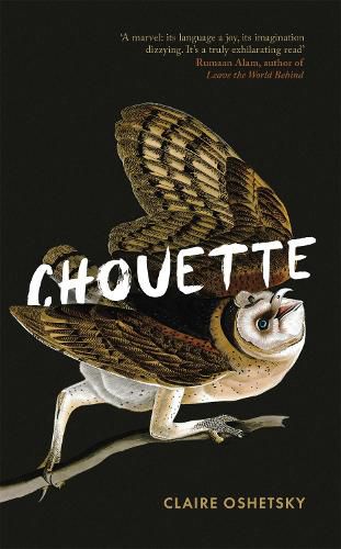 Cover image for Chouette