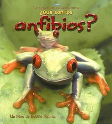 Cover image for Que son los Anfibios?