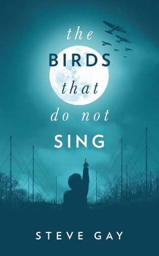 Cover image for The Birds that do not Sing