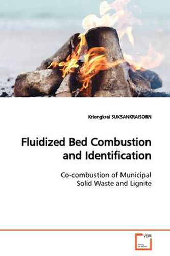 Cover image for Fluidized Bed Combustion and Identification