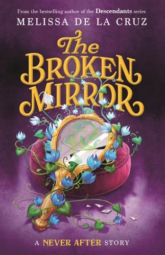 Cover image for Broken Mirror