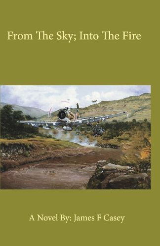 Cover image for From the Sky; into the Fire