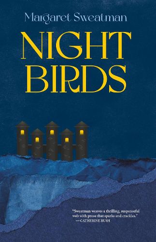 Cover image for Night Birds