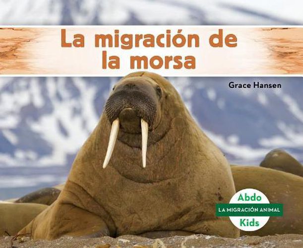 Cover image for La Migracion De La Morsa/ Walrus Migration