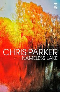 Cover image for Nameless Lake