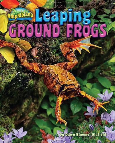 Cover image for Leaping Ground Frogs