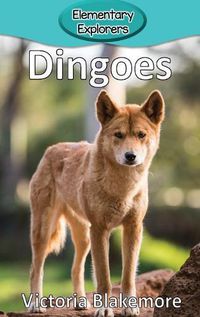 Cover image for Dingoes