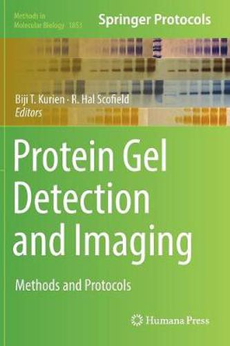 Cover image for Protein Gel Detection and Imaging: Methods and Protocols